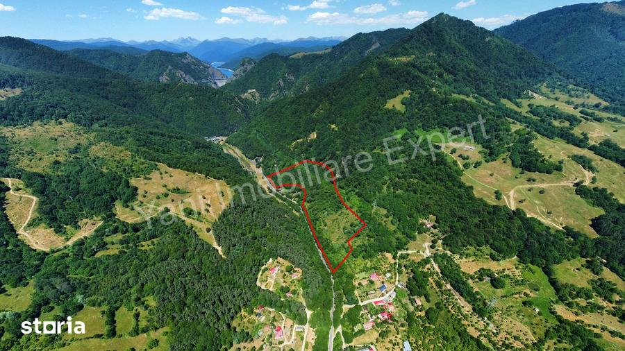 Teren de vanzare pe Transfagara?an ( 75.200 mp ) - 8