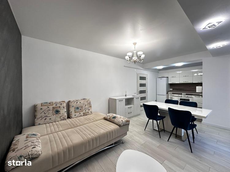 Apartament 2 camere de inchiriat Central Park - 9