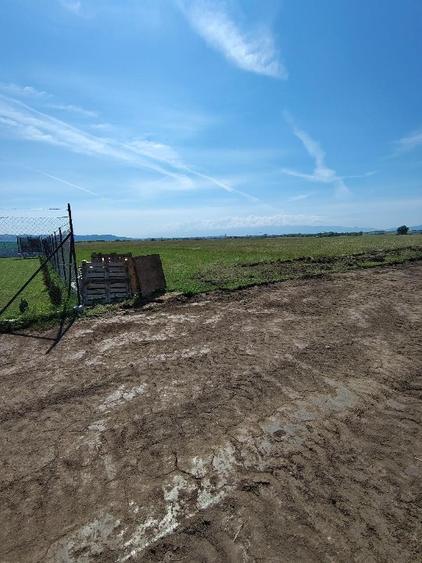 Teren agricol extravilan de 515 mp, în Turnișor