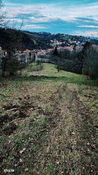 Teren intravilan in ?chei 1577 mp, investitie pe termen lung - 3