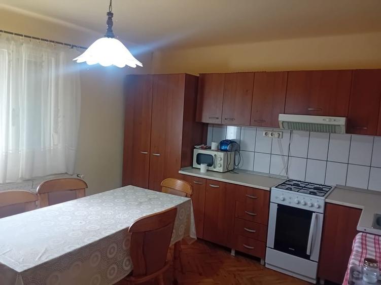 Teren intravilan 68 Ari cu Casa 80 mp Viile Satu Mare - 4