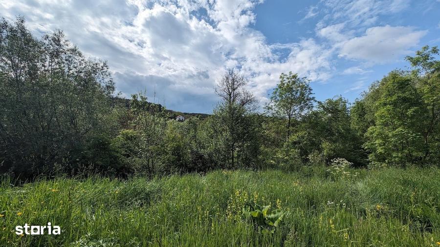 Teren de 700 mp, în Micești