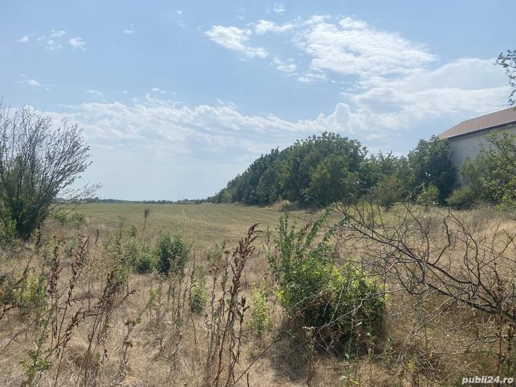 Teren de 12600 mp, în Frumușani