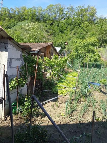 Casă cu 3 camere cu Teren 15 Mp în Viișoara