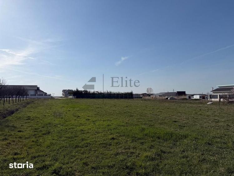 Casa cu 2195 mp teren in Cihei - Str. Mare - 2