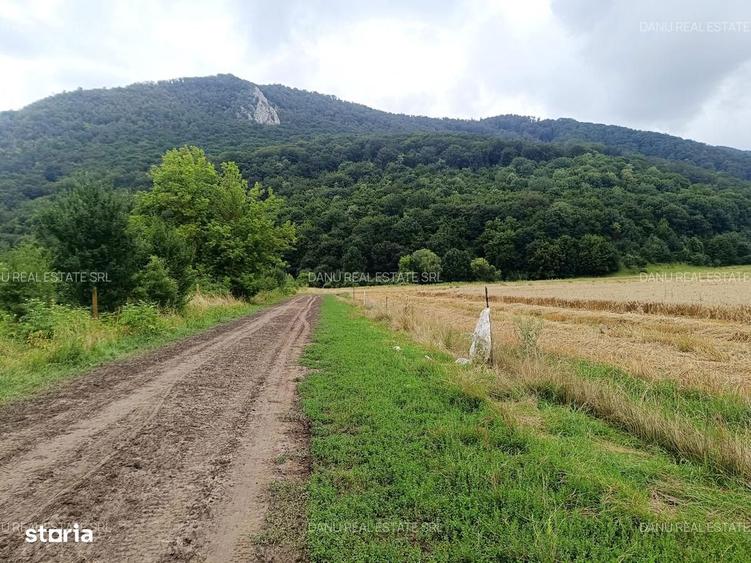 Teren de 16500 mp, în Bartolomeu
