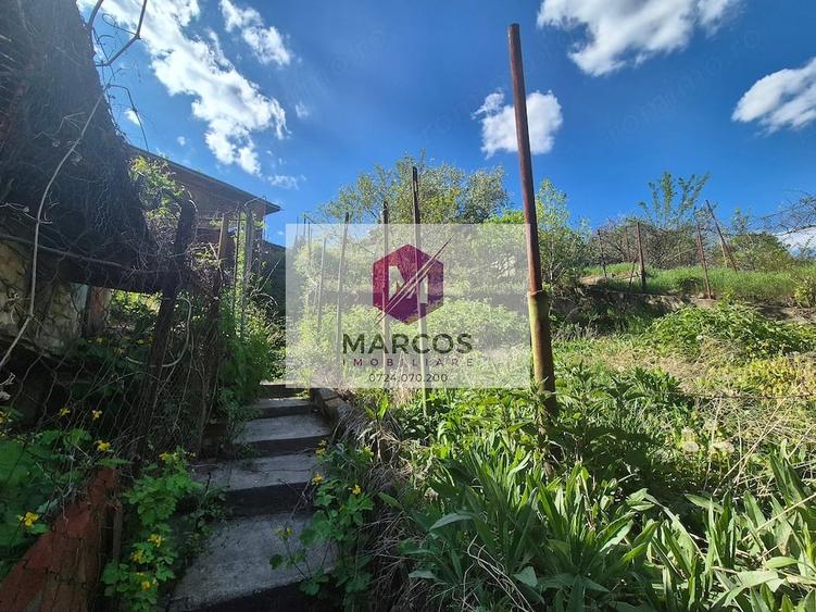 Casa langa Gradina Zoologica - 5