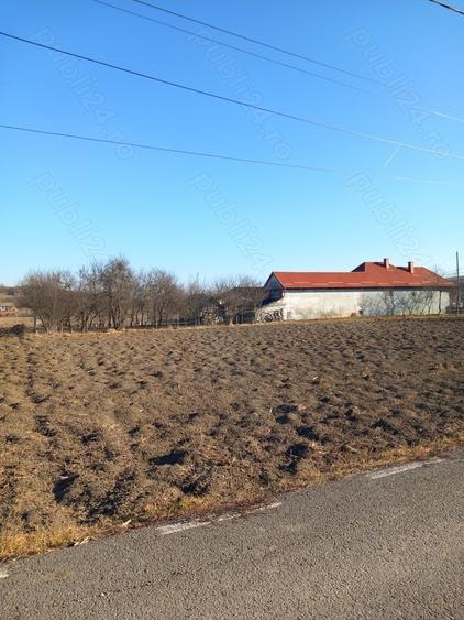 Teren de 1500 mp, în Borșa