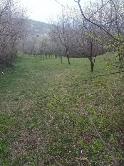 Teren de 2600 mp, în Izvoarele