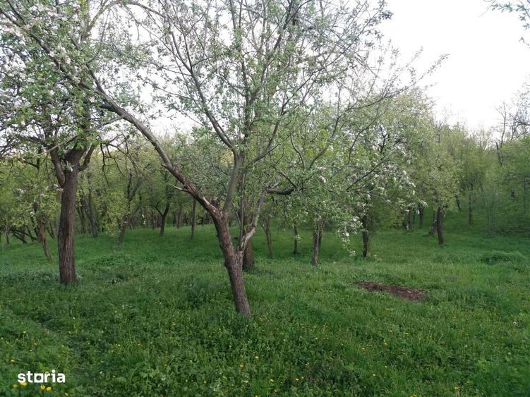 Casă cu 3 camere în Alămor