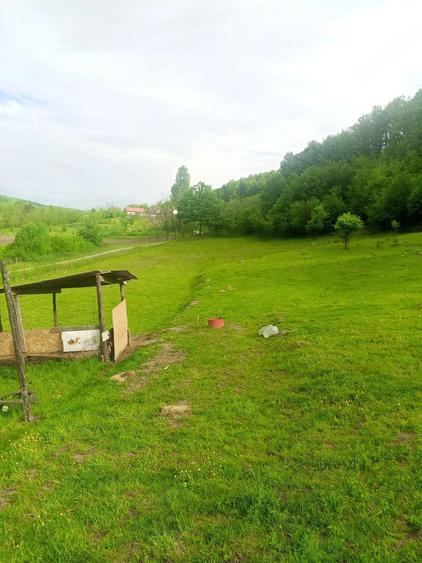 Teren de 5500 mp, în Drăganu
