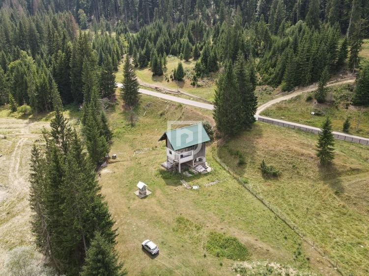Teren Construcții intravilan de 4742 mp, în Voroneț