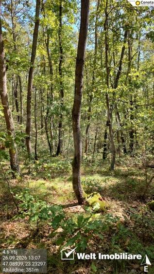 Teren extravilan de 35550 mp, în Hida