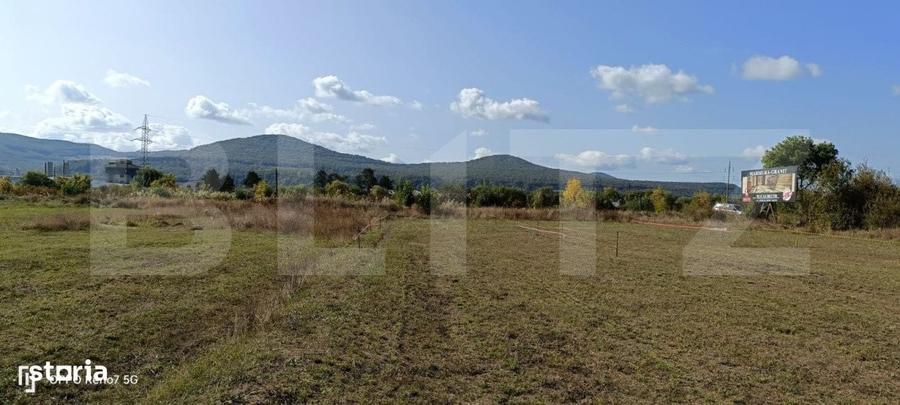 Teren 49 Ari, partial intravilan 13 ari, cu deschidere la DN17, Sieu M - 2
