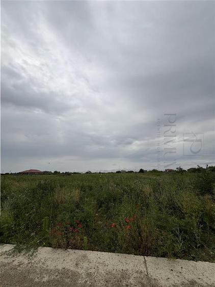 Teren- Mosnita Noua- Toate utilitatile+ strada betonata - 2