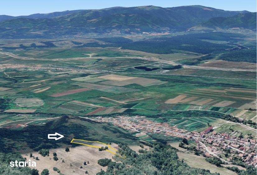 Teren extravilan 5500 mp, la padure zona Selimbar (Mohu) - 4