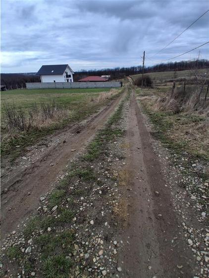 Teren Construcții intravilan de 5487 mp, în Betfia