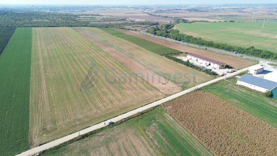 Teren Construcții intravilan de 66400 mp, în Biharia