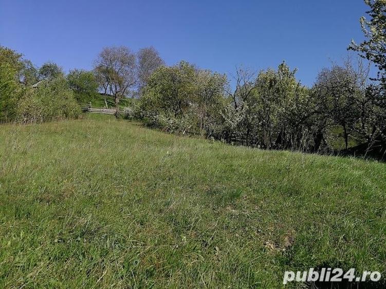 Teren de 1510 mp, în Leșu