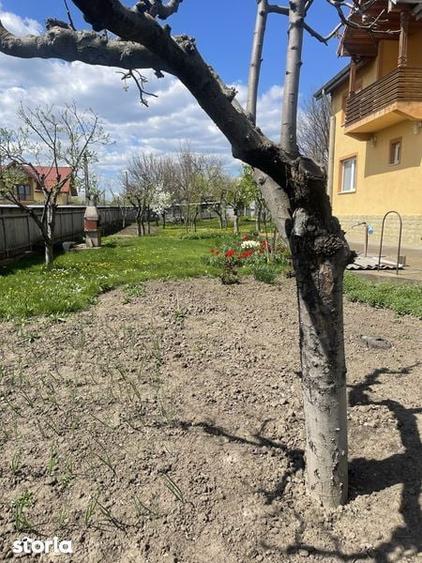 Casă cu 4 camere cu Teren 200 Mp în Gropnița