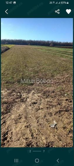 vand teren in Gostilele Calara?i