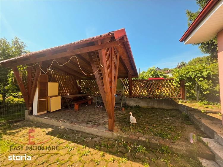 Casa de vanzare, Voiniceni, 10 arii, pivnita, 2 bucatarii, spre Unirii - 8