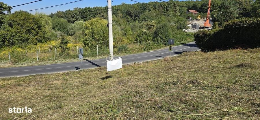 Teren cu PUZ aprobat in Faget, 2072 mp - 6
