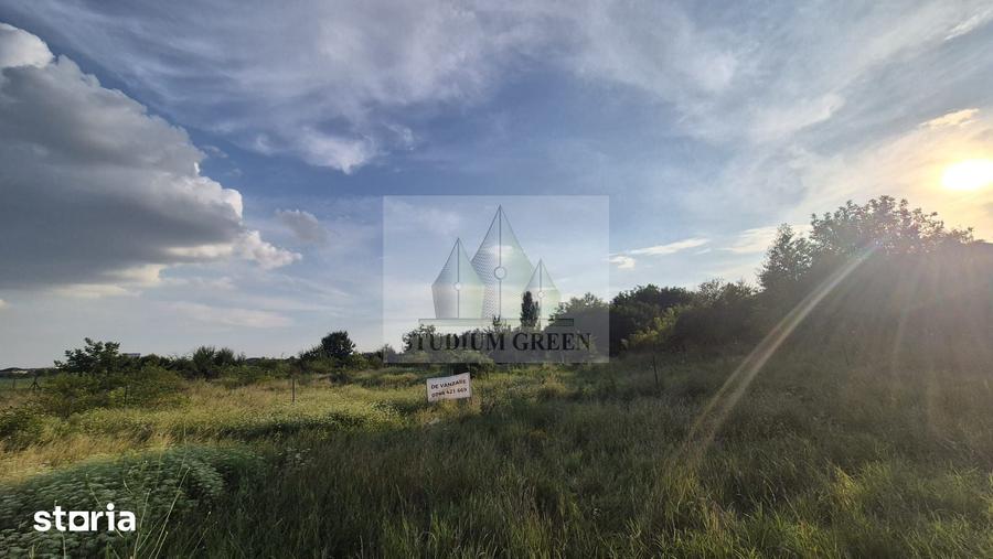 2515 mp de vanzare -in Voluntari- Pipera - 2515 mp - 5