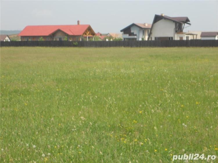 Teren de 8000 mp, în Podu Oltului