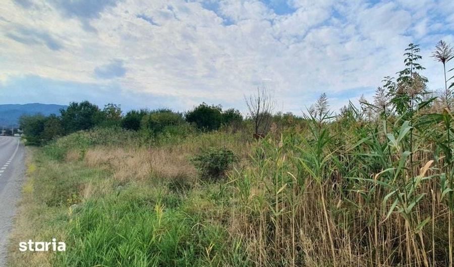Teren intravilan 6000 m2 in zona industriala DN1A Sacele - 1