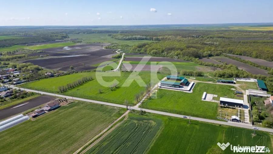 Black Angus Farm with authorized Slaughterhouse - 8