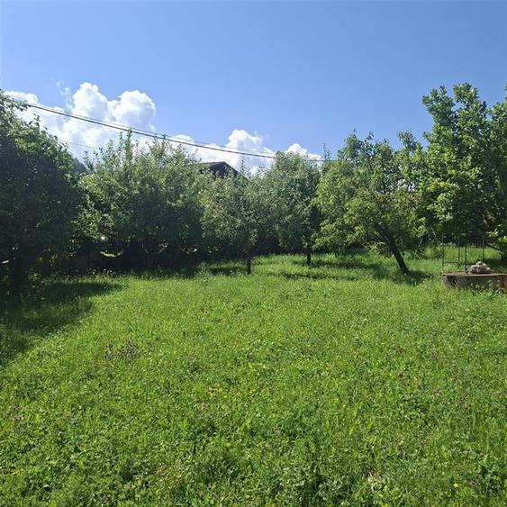Casă individuală cu 6 camere cu Canalizare în Bran