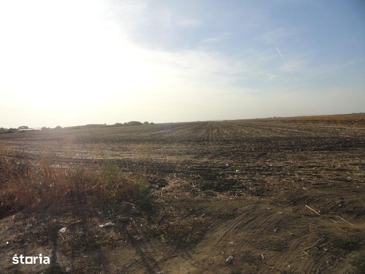 Teren de 53500 mp, în Șofronea