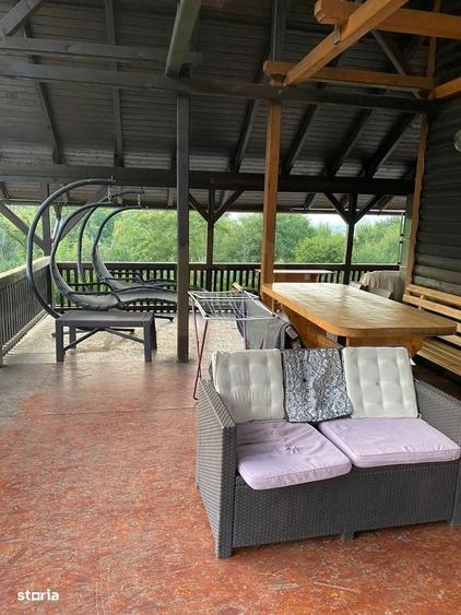 Vanzare teren 3000 mp, cabana, zona D D Rosca, Faget - 9