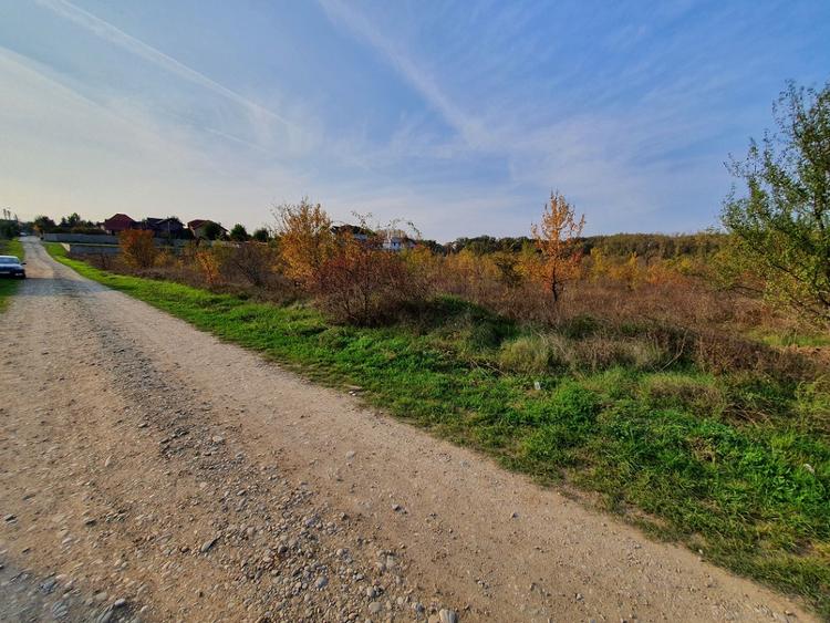 Teren Construcții intravilan de 600 mp, în Balotești