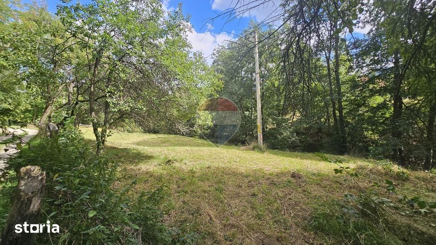 Casa individuala | 4 camere | Teren 4840 mp | Sohodol | Bran - 16