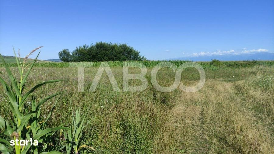 Teren de 25920 mp, în Șura Mică