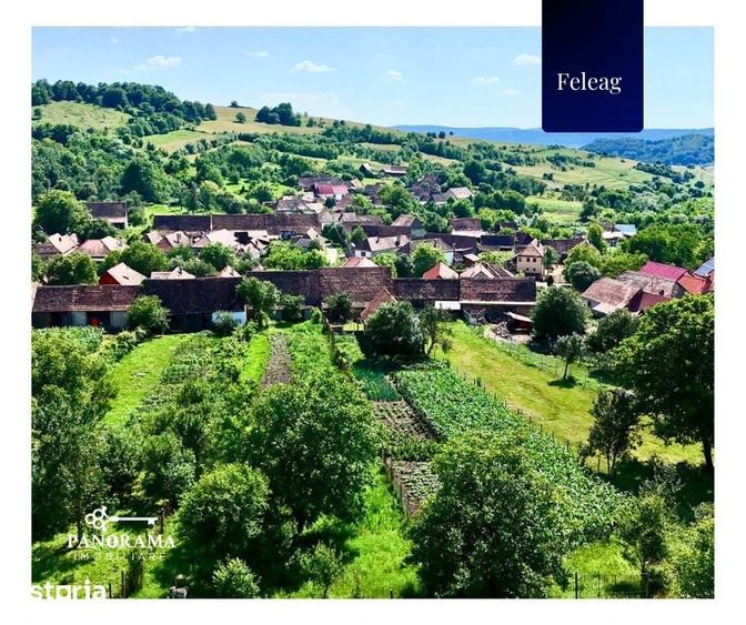 Casă cu 3 camere cu Teren 1590 Mp în Vânători