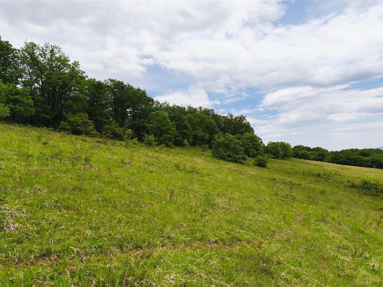 Teren Construcții extravilan de 2900 mp, în Florești