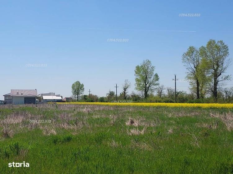Teren 500 mp aproape de Bucuresti Berceni Ilfov Constructie imediata - 2