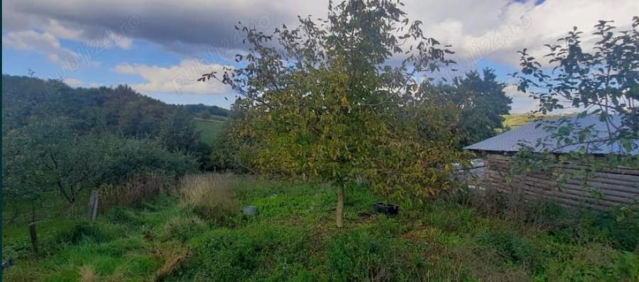 Casă cu 2 camere în Ceișoara