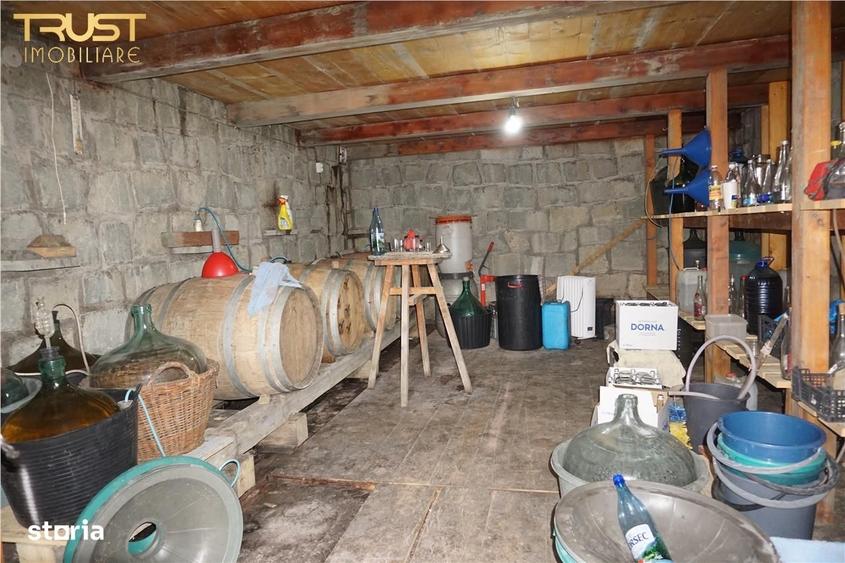 Casă cu 4 camere cu Teren 10423 Mp în Strâmba