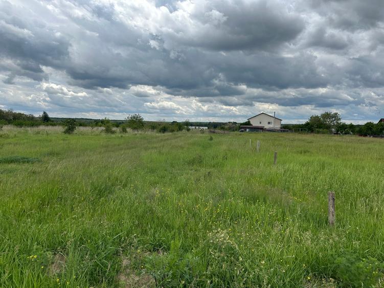 Teren Construcții intravilan de 473 mp, în Albota