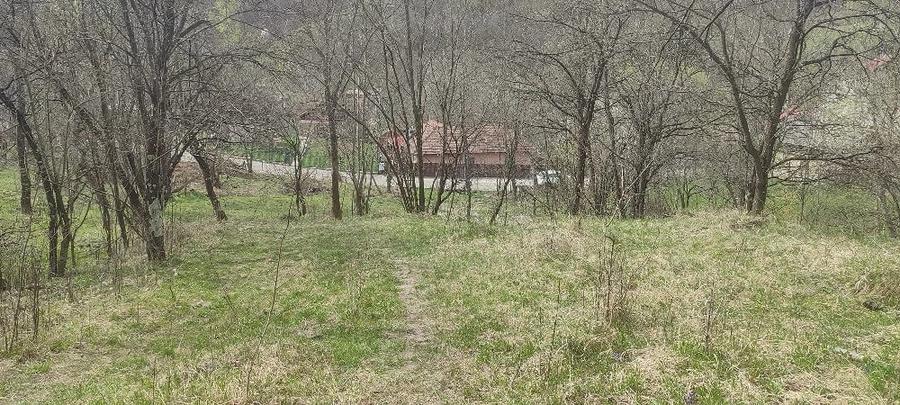Teren de 2500 mp, în Central