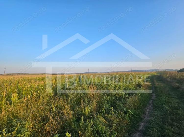 Teren de 1476 mp, în Periferie