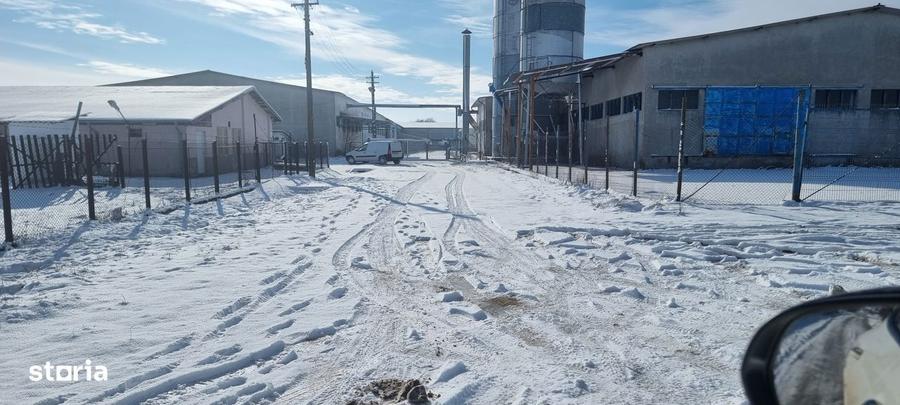 Spațiu comercial, de 17,000 mp, în Potlogi