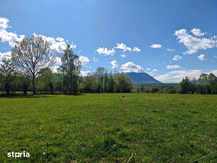 Teren de 5967 mp, în Glăjărie