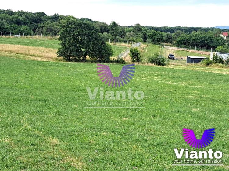 Teren agricol extravilan de 6200 mp, în Rășinari