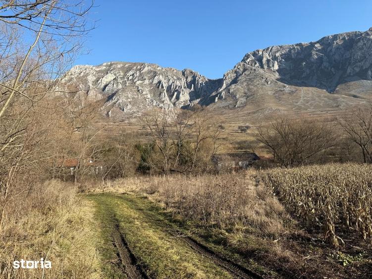 Teren de 1250 mp, în Râmeț