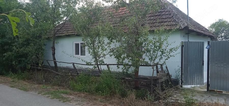 Casă cu Teren 5000 Mp în Miheleu